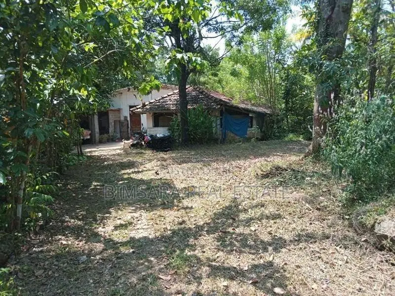 Prime 3.3-Acre Land with Excellent Development Potential in Dodangoda