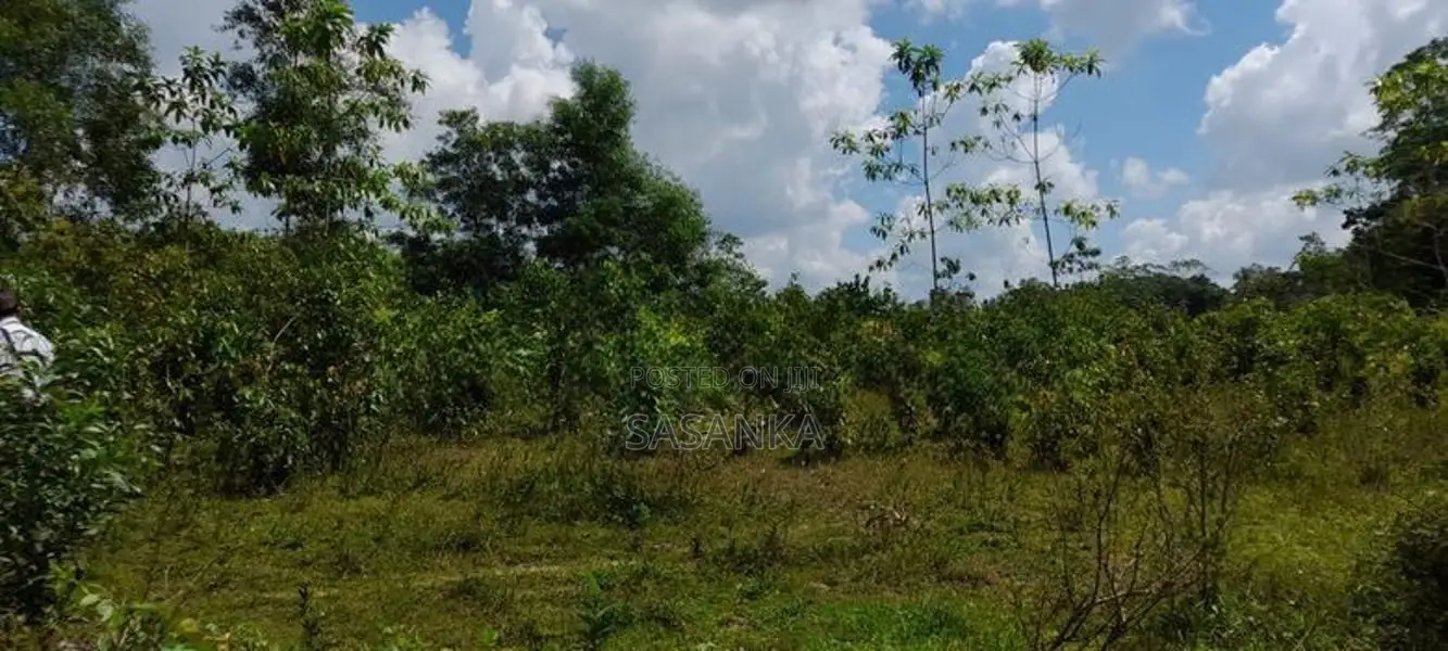 Horana Millaniya 3 Acres Land for Sale