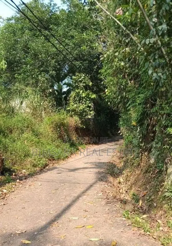 Prime 3.3-Acre Land with Excellent Development Potential in Dodangoda