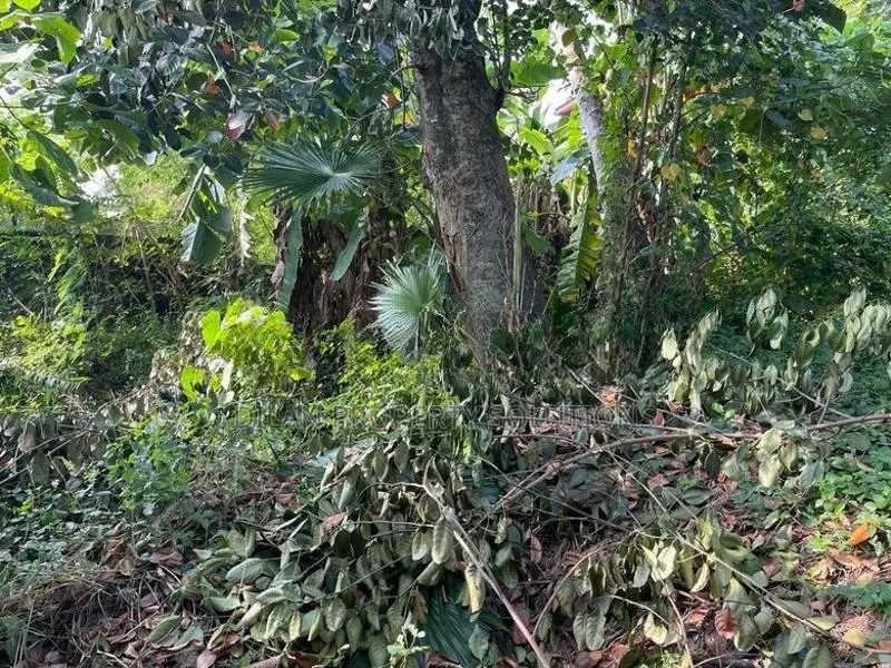 22 Perches Bare land for sale in Madinnagoda Road, Rajagiriya