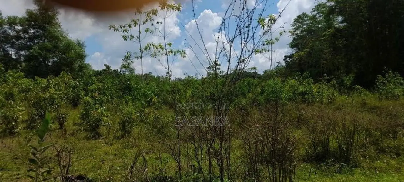 Horana Millaniya 3 Acres Land for Sale