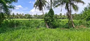 Land for sale Maharagama pannipitiya