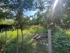 10 Perch Plot of Land in Pandulagama, Anuradhapura