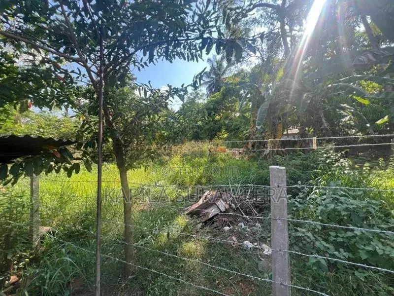 10 Perch Plot of Land in Pandulagama, Anuradhapura