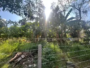 10 Perch Plot of Land in Pandulagama, Anuradhapura
