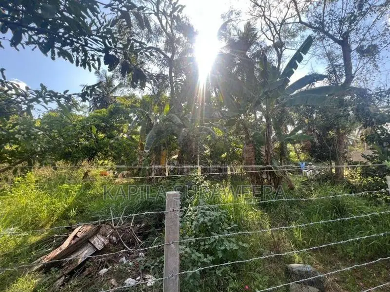 10 Perch Plot of Land in Pandulagama, Anuradhapura