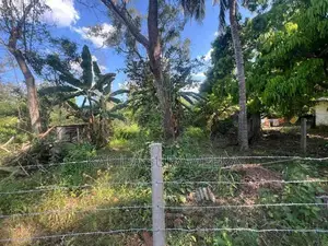 10 Perch Plot of Land in Pandulagama, Anuradhapura