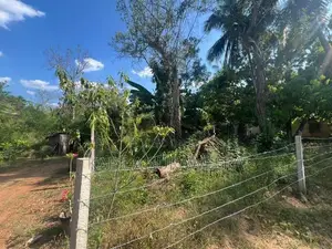 10 Perch Plot of Land in Pandulagama, Anuradhapura