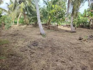 මීගමුව Loyola පාසල අසලින් වටිනා ඉඩමක් / CH 15440