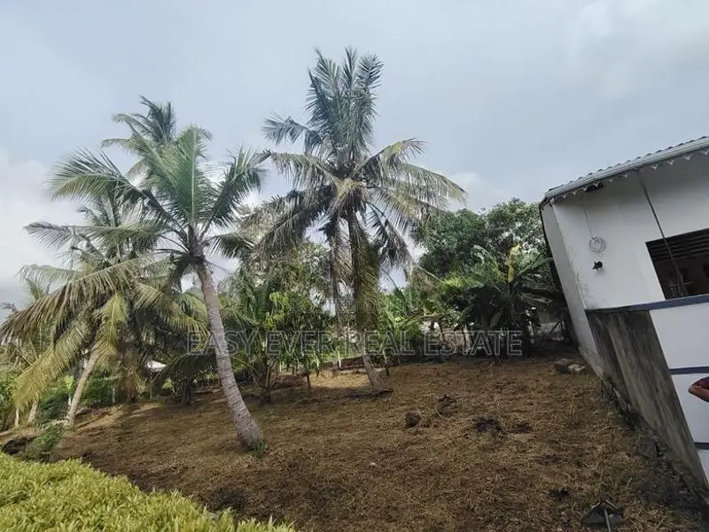 මීගමුව Loyola පාසල අසලින් වටිනා ඉඩමක් / CH 15440