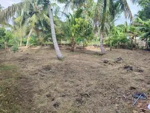 මීගමුව Loyola පාසල අසලින් වටිනා ඉඩමක් / CH 15440
