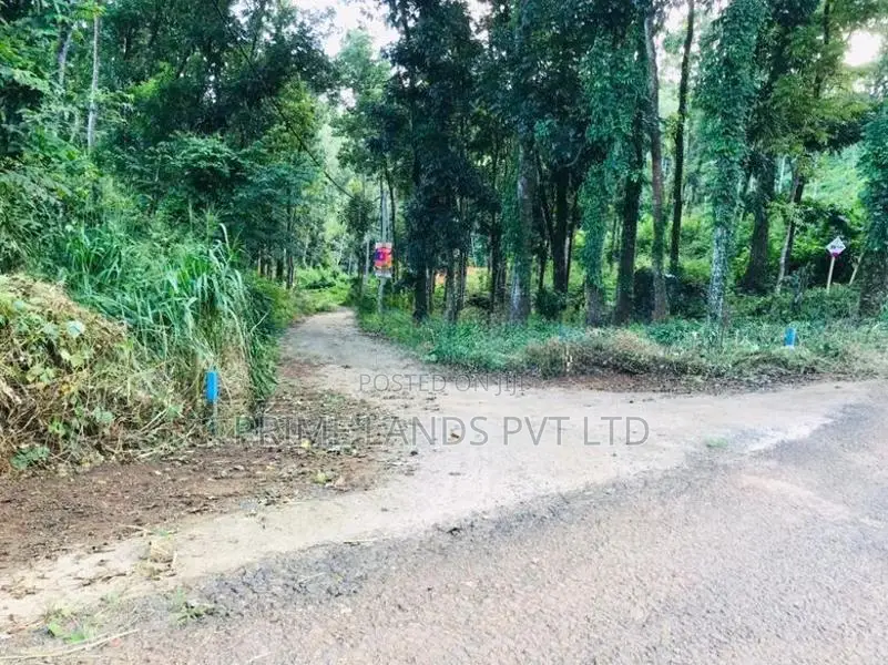 Nelundeniya Land for Sale