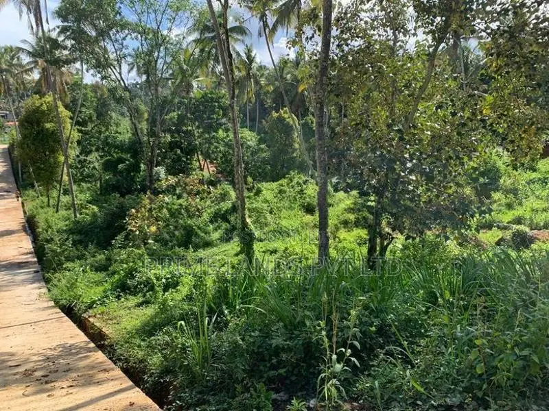 Land for Sale Gelioya
