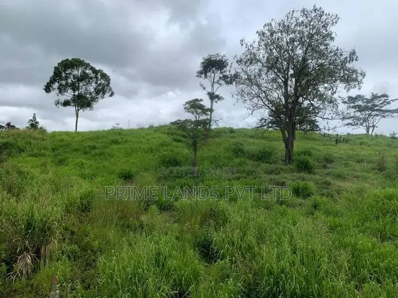 Land for Sale Pussellawa