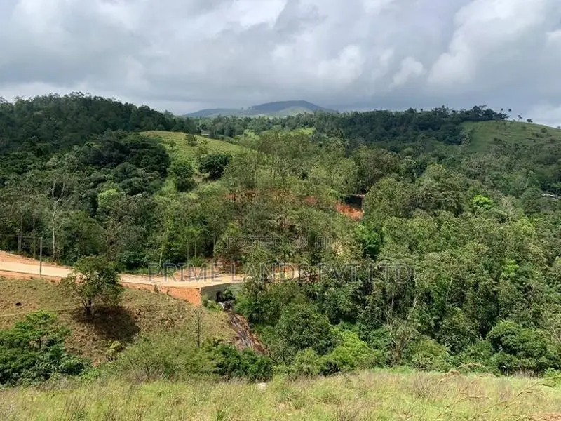 Land for Sale Delthota