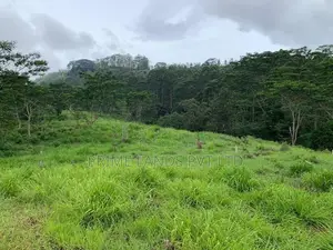 Land for Sale Pussellawa