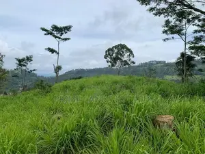 Land for Sale Pussellawa