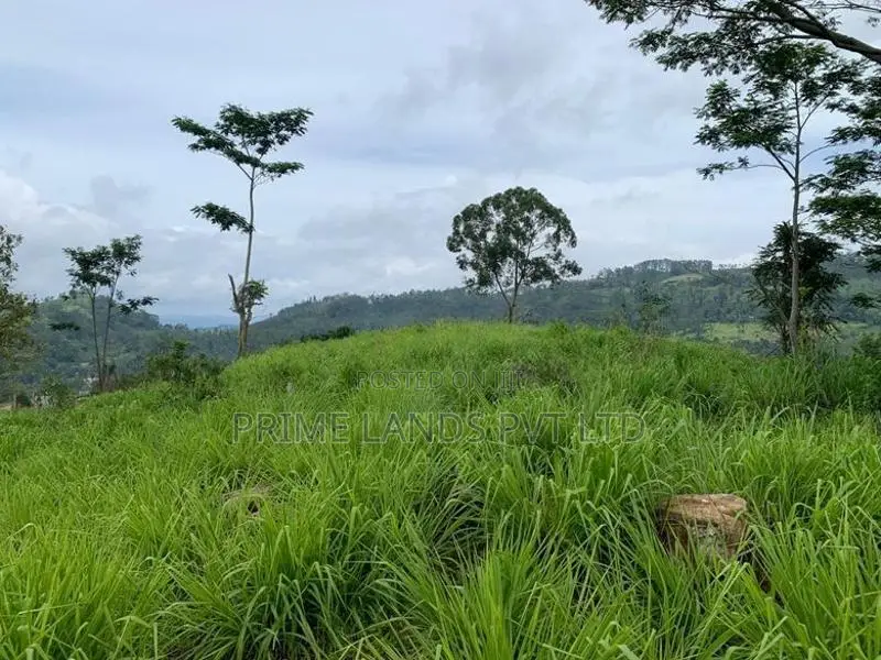 Land for Sale Pussellawa