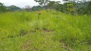 Land for Sale Pussellawa