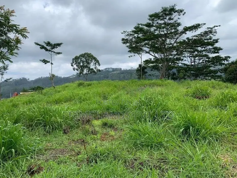 Land for Sale Pussellawa