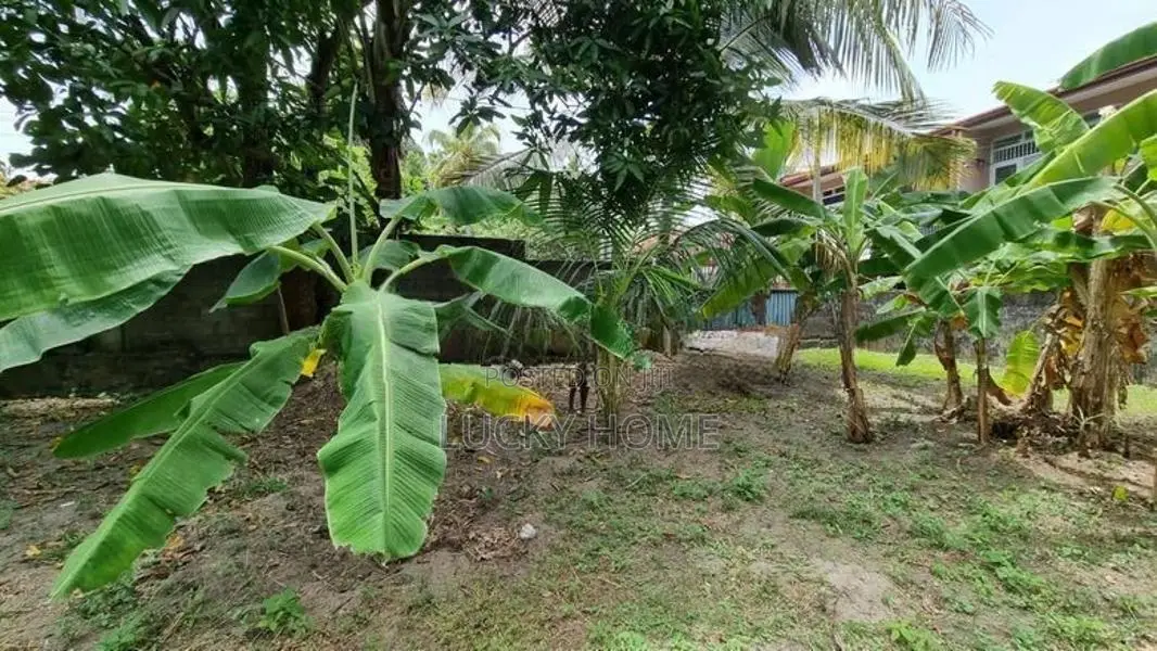 10 Perch Land Sale Kandana - Kapuwatta