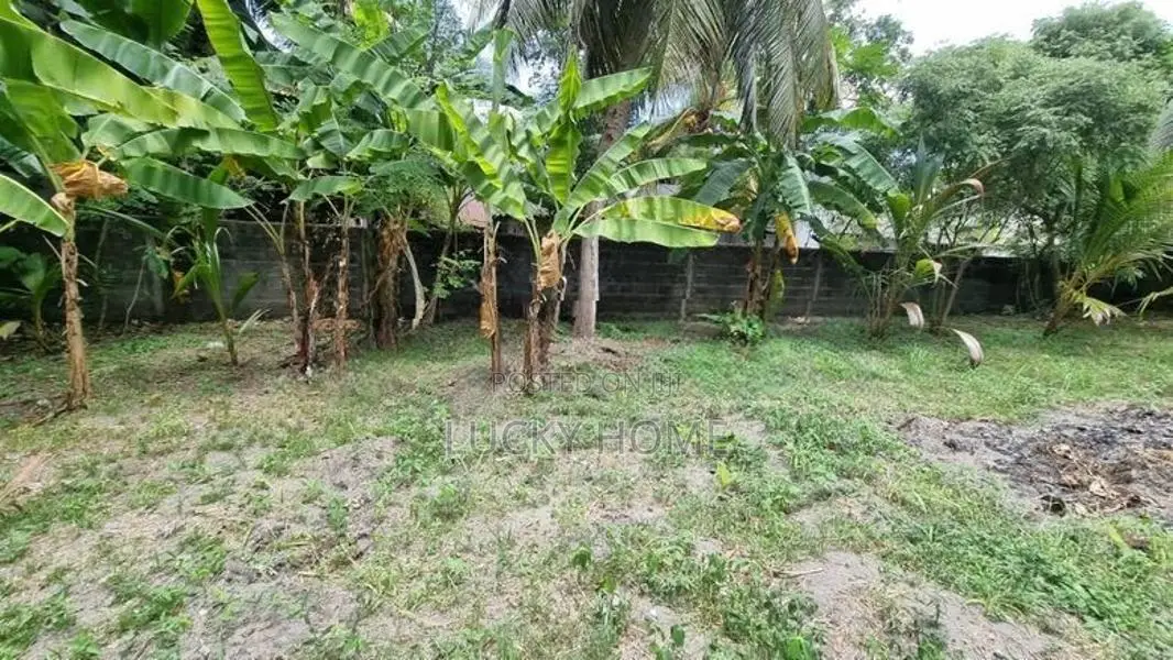 10 Perch Land Sale Kandana - Kapuwatta
