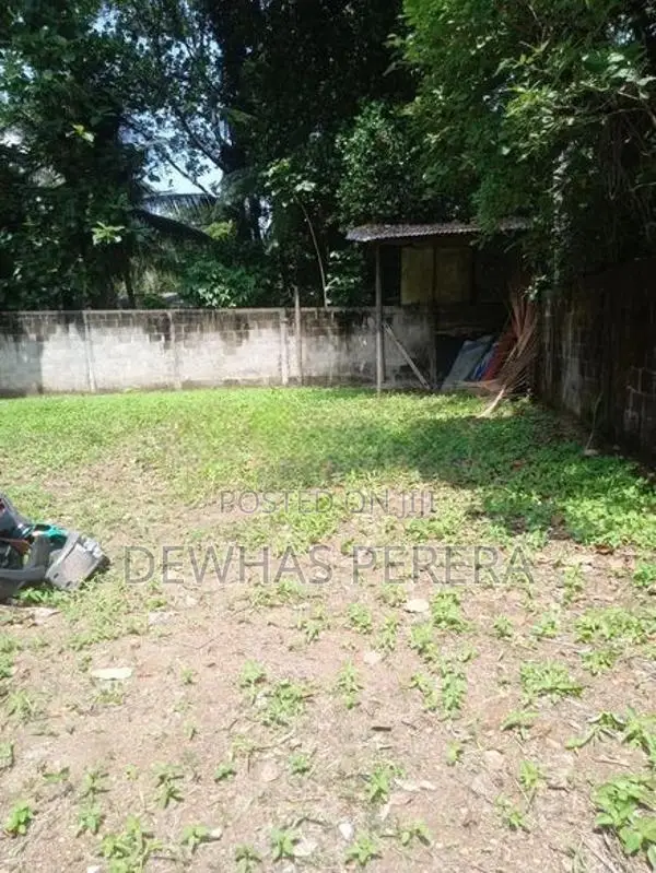 land for sale 266 bus road bollata ganemulla