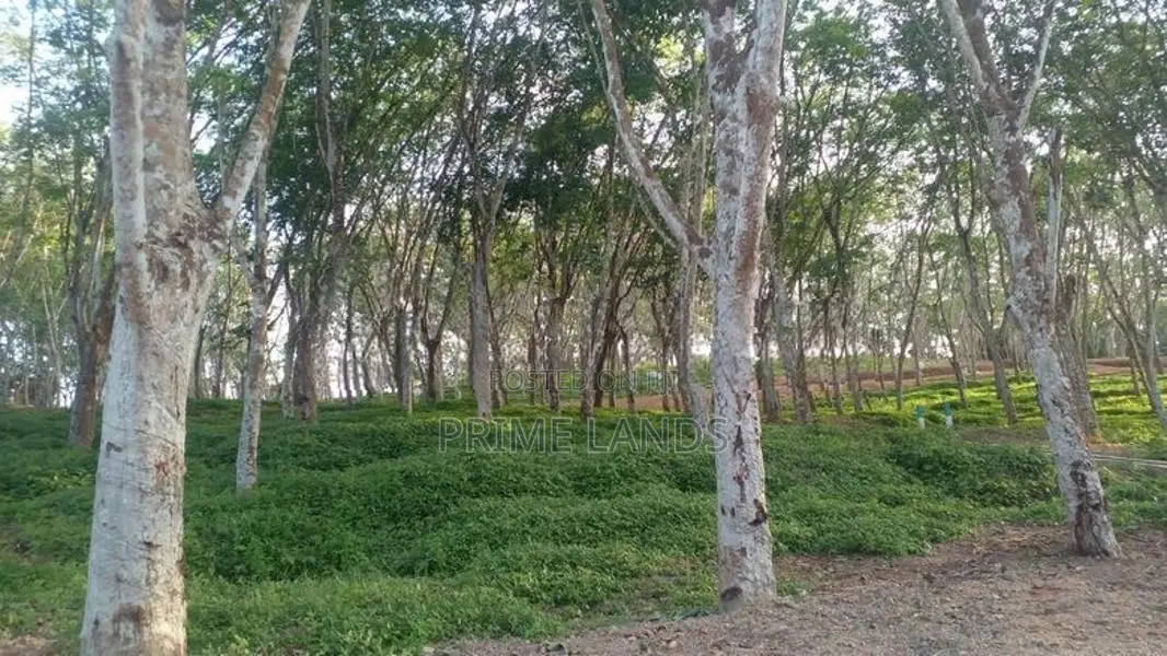 අහංගම සංචාරක කලාපයට ආසන්නව බිම්කොටස්