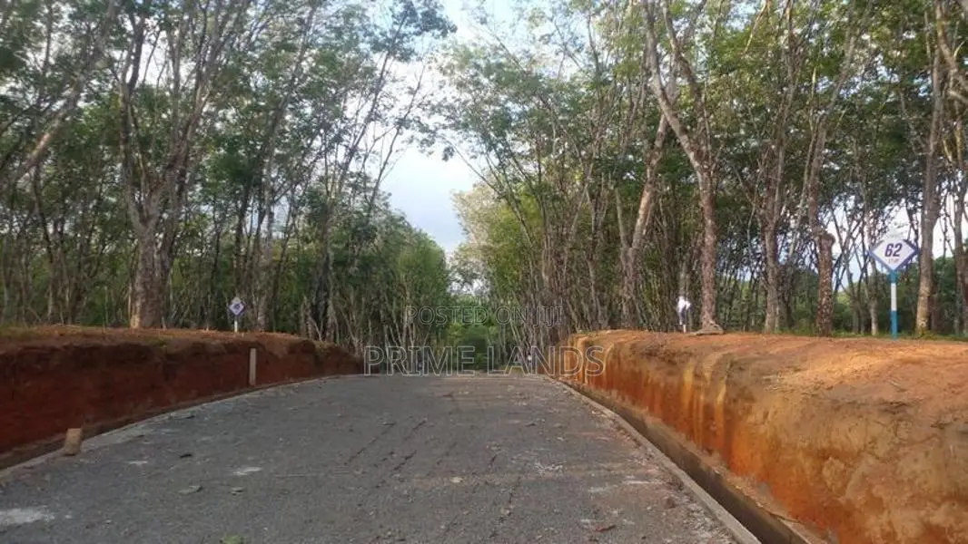අහංගම සංචාරක කලාපයට ආසන්නව බිම්කොටස්