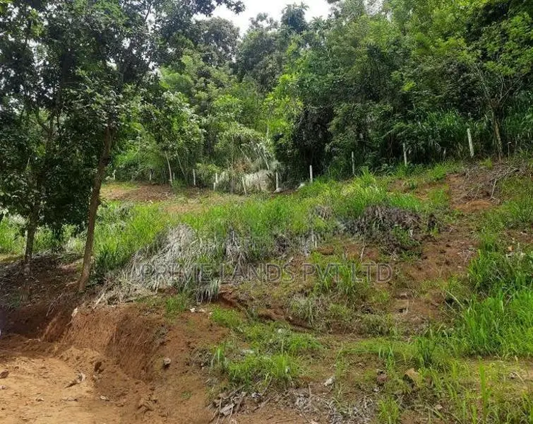 Land for Sale Pujapitiya