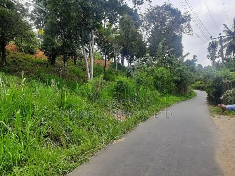 Land for Sale Pujapitiya