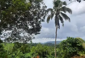 Land for Sale Pujapitiya