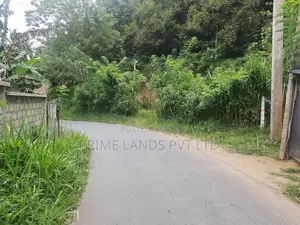 Land for Sale Pujapitiya