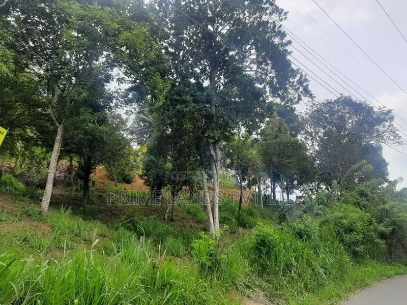 Land for Sale Pujapitiya