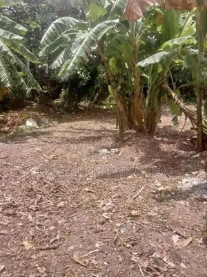 Land four sale kolonnawa