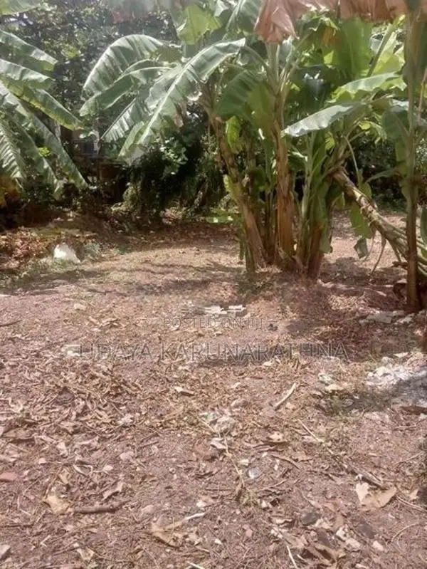 Land four sale kolonnawa