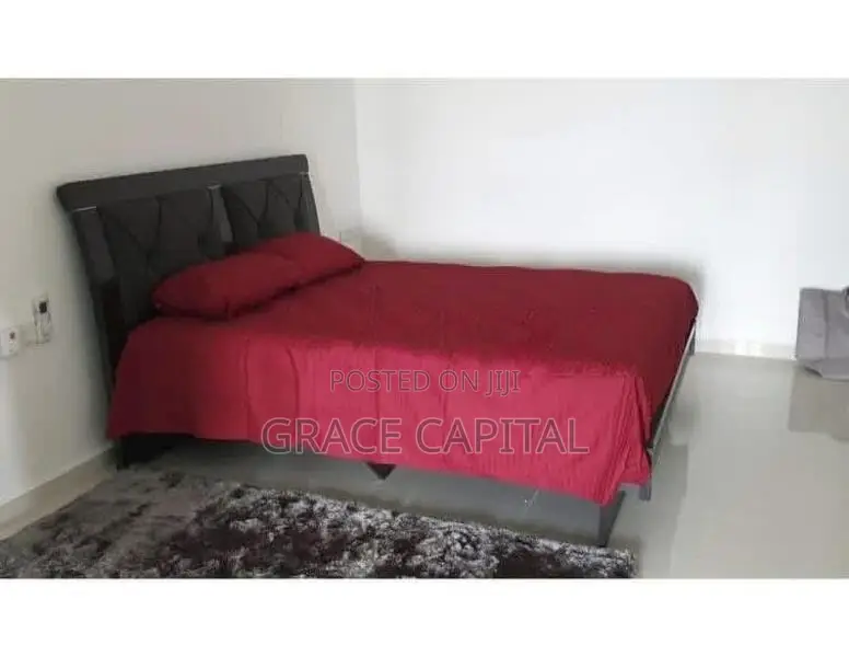 Fully furnished apartment for rent