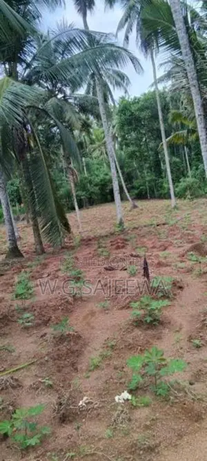 244perch Land for Sale in Gampaha, Kahatana