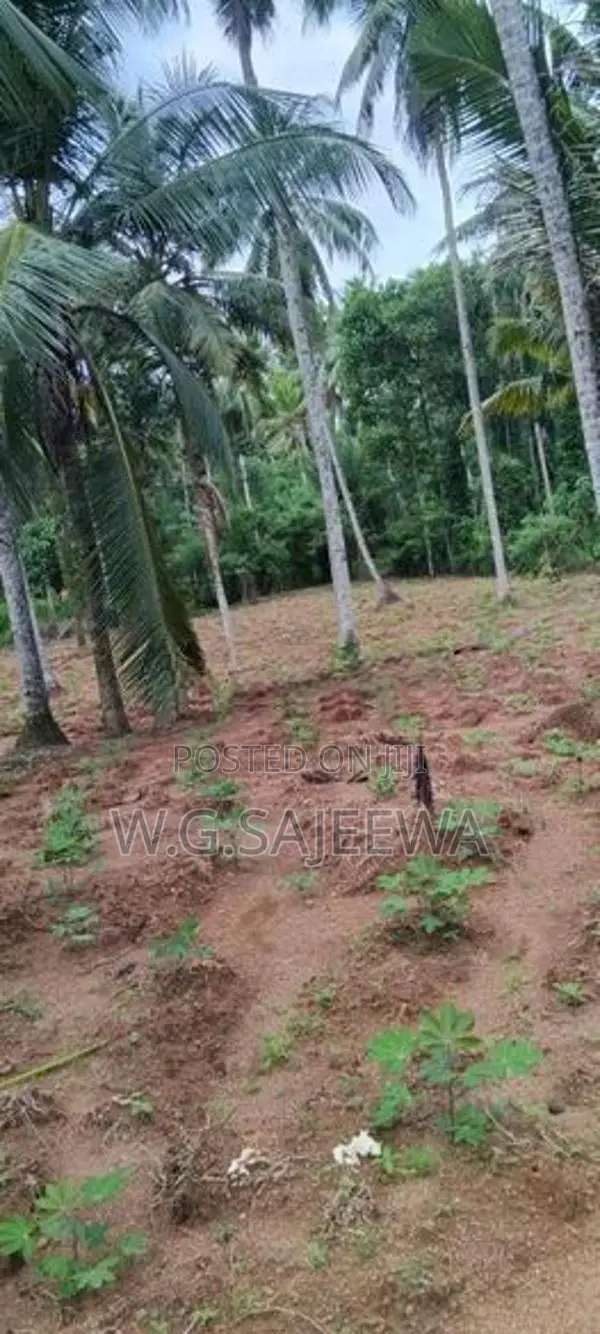244perch Land for Sale in Gampaha, Kahatana