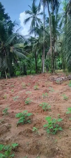 244perch Land for Sale in Gampaha, Kahatana