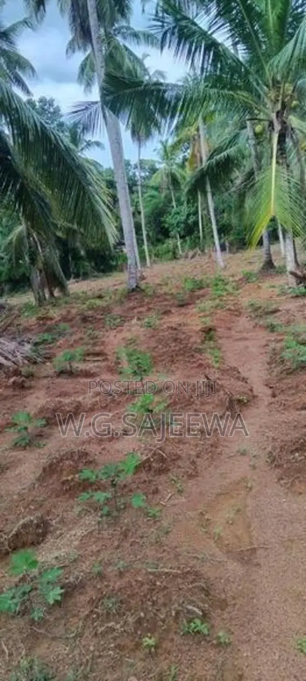 244perch Land for Sale in Gampaha, Kahatana