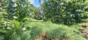 Land for sale Nugegoda