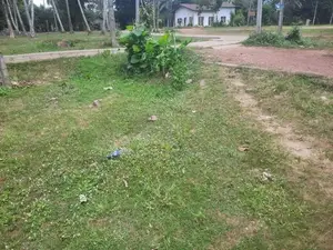 House and Land for Sale in Negombo