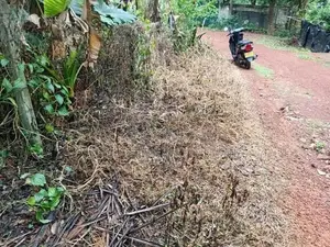 Valuable Land for Sale in Piliyandala