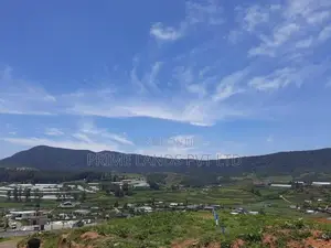 Land for Sale Nuwara Eliya