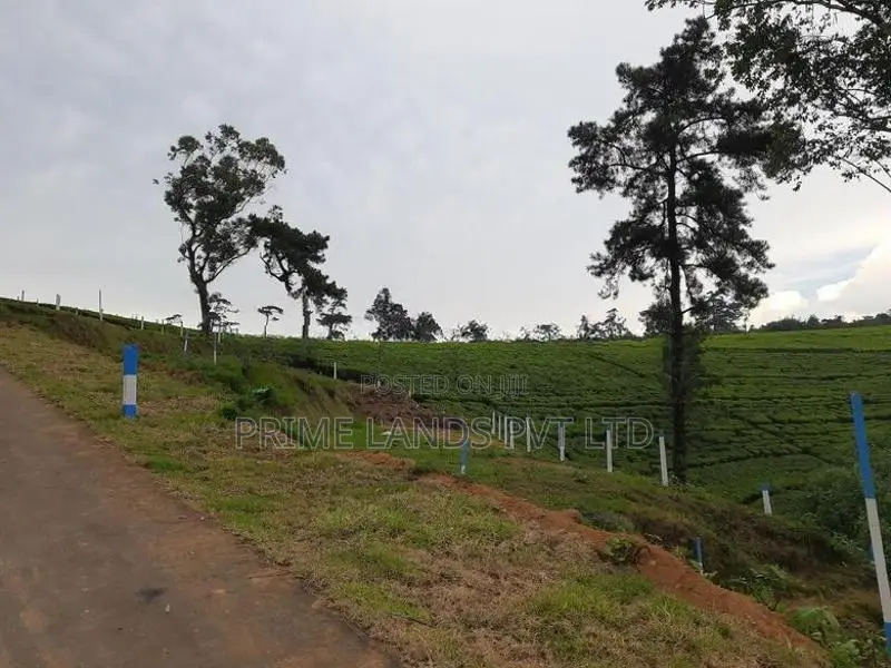 Land for Sale Nuwara Eliya