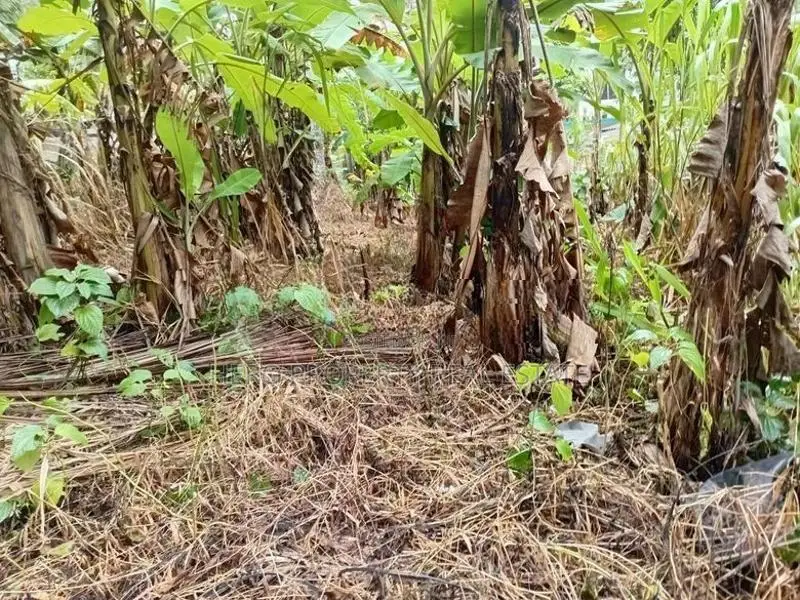 Valuable Land for Sale in Piliyandala