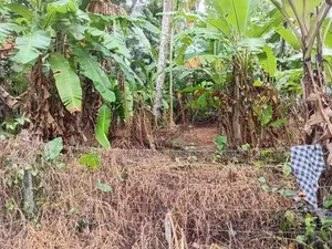 Valuable Land for Sale in Piliyandala