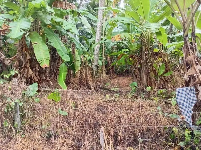 Valuable Land for Sale in Gonapala