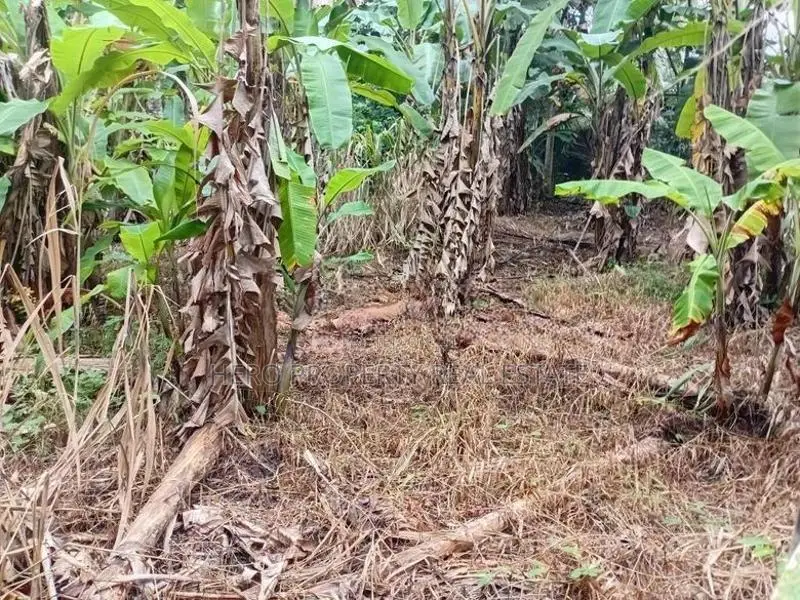 Valuable Land for Sale in Gonapala